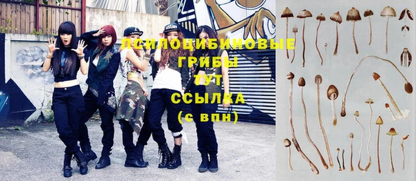 дурь Медногорск