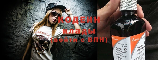 ГАЛЛЮЦИНОГЕННЫЕ ГРИБЫ Михайлов