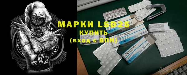 ГАЛЛЮЦИНОГЕННЫЕ ГРИБЫ Михайлов