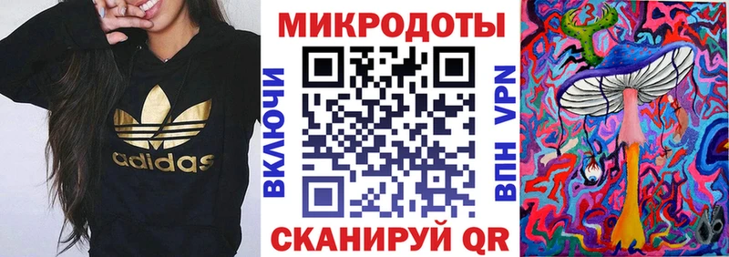 купить закладку  Талица  Галлюциногенные грибы Psilocybine cubensis 